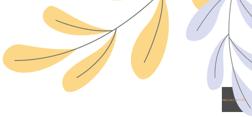 The best Batik Collection 2025