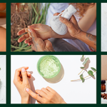 Discover the Power of Nature: A Guide to Sri Lankan Ayurvedic Products