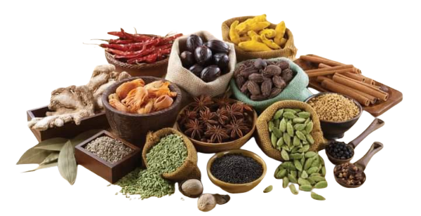 From Ceylon to Your Kitchen – Hidden Spice Treasures to Master!