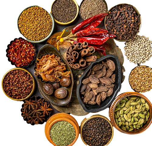 A curated assortment of premium Sri Lankan spices including dried red chilies, cinnamon sticks, black peppercorns, and cardamom pods.