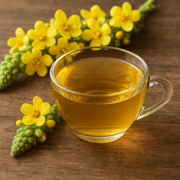 Asian Product Natural Tea – Mullein Herbal Tea Packet (25 Tea Bags | 50g)
