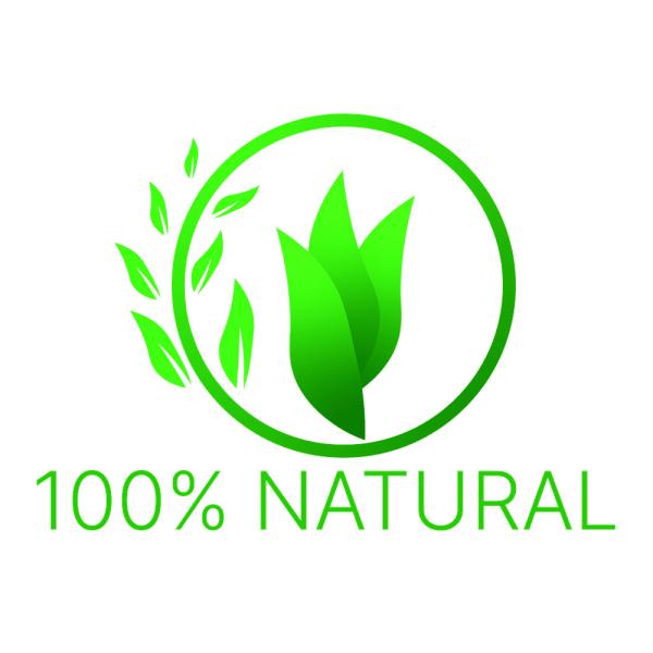 Moringa Leaves Powder