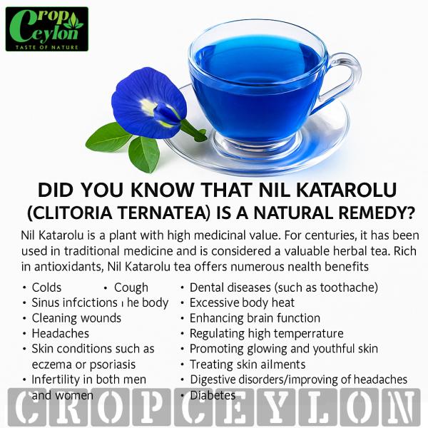 Blue Butterfly Pea Flower Powder