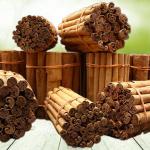 Ceylon Cinnamon Quills by KGS Spice Exporters