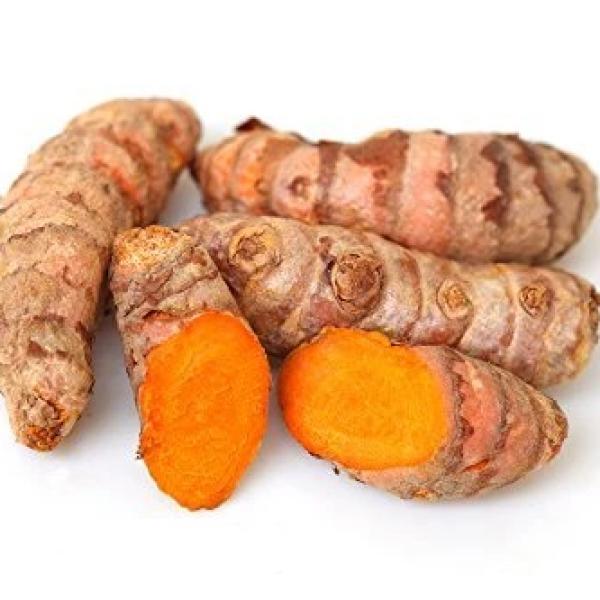 Ceylon Organic Turmeric Powder (Curcuma longa)