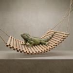 Lizard Lodge – Handmade Pine Wood Shelter for Geckos and Lizards