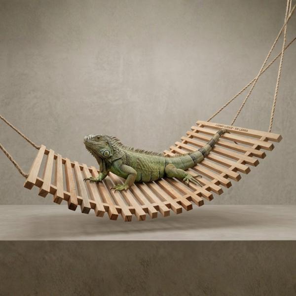 Lizard Lodge – Handmade Pine Wood Shelter for Geckos and Lizards