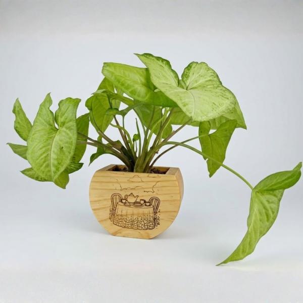 Wooden Pot – Pine & Bamboo Blend (12x10x6 cm)
