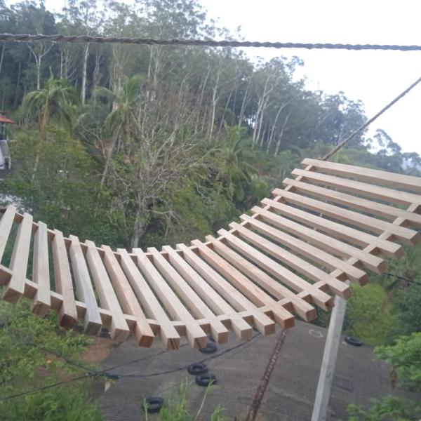 Lizard Lodge – Handmade Pine Wood Shelter for Geckos and Lizards