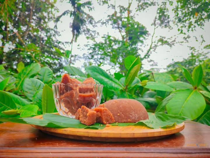 Kithul Hakuru