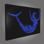 Jailed Mermaid – Digital Printed Canvas Box Frame Wall Art by H.K. Heshan (36" x 24")