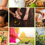 Discover the Ancient Wisdom of Sri Lankan Ayurveda: Your Guide to Natural Wellness
