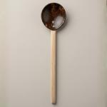 Coconut Shell Spoon with 10-Inch Wooden Handle – Eco-Friendly Kitchen Utensil