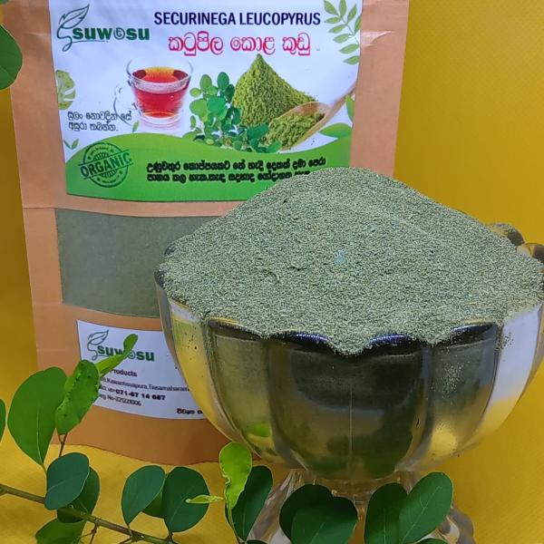 Securinega Leucopyrus Powder – 100% Natural Ayurvedic Remedy