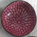 Eco-friendly Coconut Shell Hand-Painted