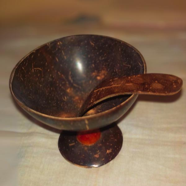 Set of 6 Natural Coconut Shell Dessert Cups with Spoons