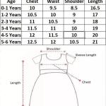 Princess Style Cotton Frock for Baby Girls