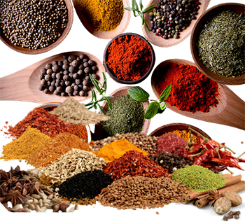 Authentic Sri Lankan pantry essentials including Ceylon cinnamon, tea, curry spices, coconut products, traditional sweets and dried seafood